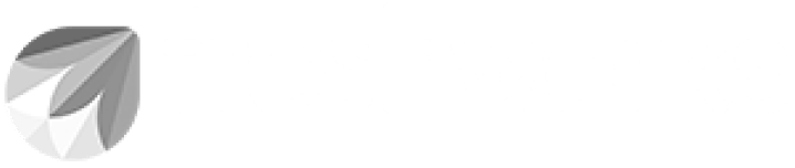 plus-v2